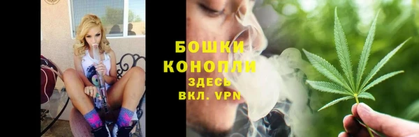 каннабис Новозыбков