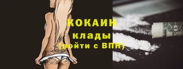 не бодяженный Новодвинск