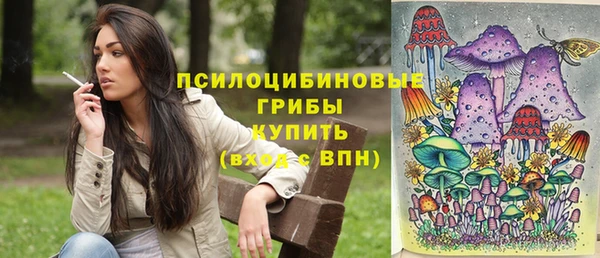крисы Новокубанск
