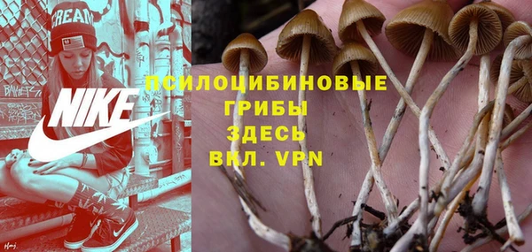 не бодяженный Новодвинск