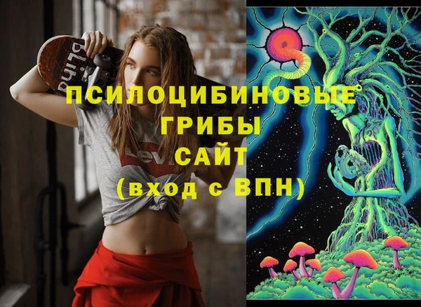 крисы Новокубанск