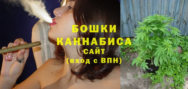 не бодяженный Новодвинск