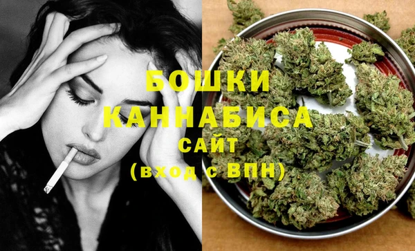 каннабис Новозыбков