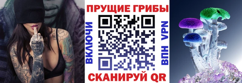 Галлюциногенные грибы ЛСД hydra зеркало Стрежевой хочу
